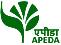 APEDA — Agricultural and Processed Food Products Export Development Authority